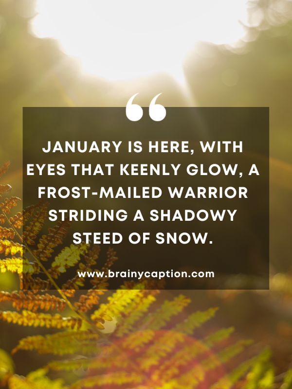Quote Of The Day 2 January- January Is Here, With Eyes That Keenly Glow, A Frost-mailed Warrior Striding A Shadowy Steed Of Snow.