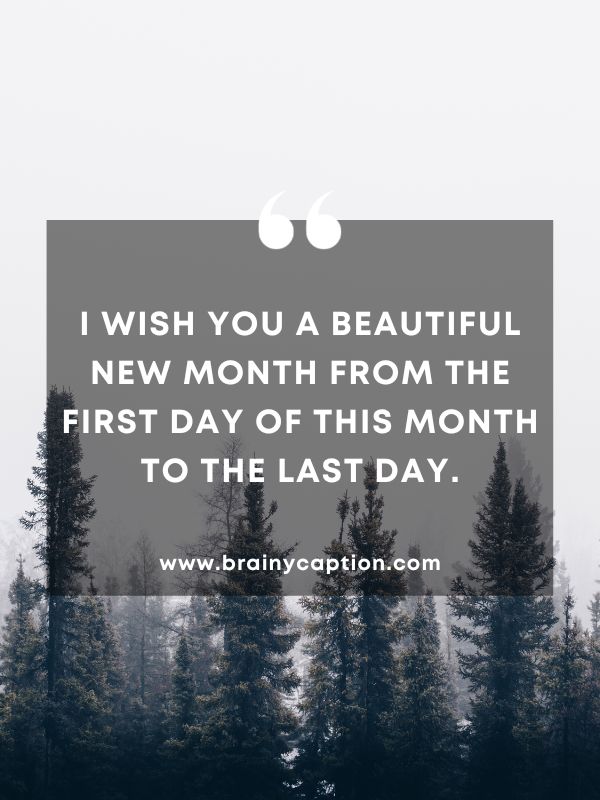 Quote Of The Day 3 January- I wish you a beautiful new month from the first day of this month to the last day.