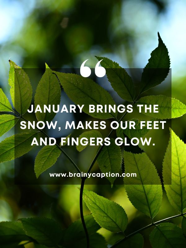 Quote Of The Day 9 January- January brings the snow, makes our feet and fingers glow.