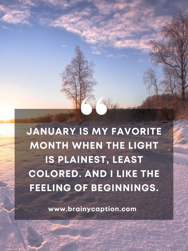 Thought Of The Day 1 January- January Is My Favorite Month When The Light Is Plainest, Least Colored. And I Like The Feeling Of Beginnings.