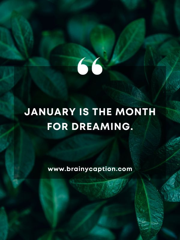 Thought Of The Day 7 January- January is the month for dreaming.
