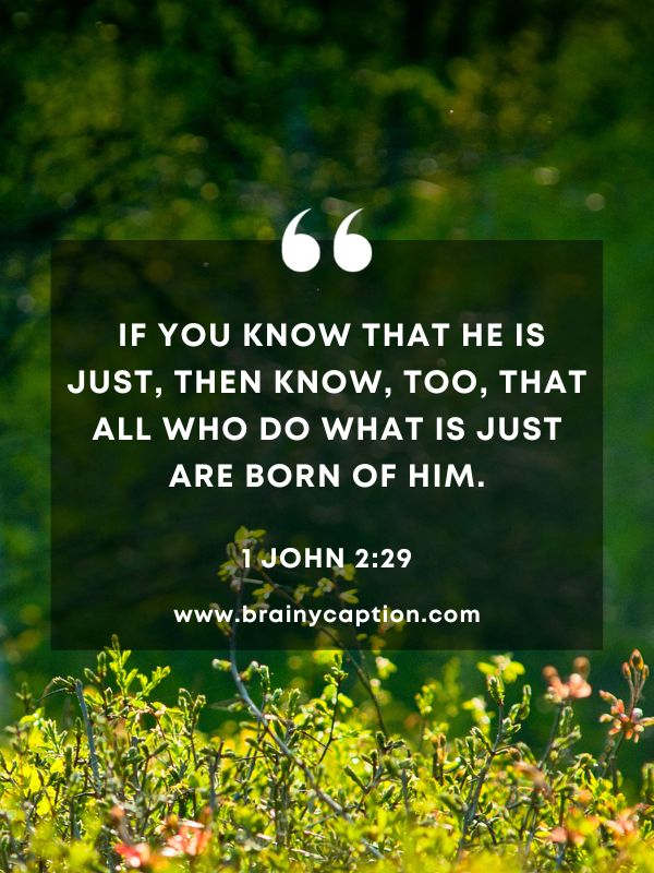 Verse Of The Day 3 January- If you know that he is just, then know, too, that all who do what is just are born of him.