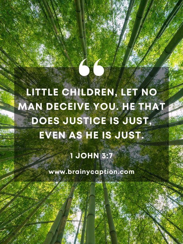 Verse Of The Day 4 January- Little children, let no man deceive you. He that does justice is just, even as he is just.