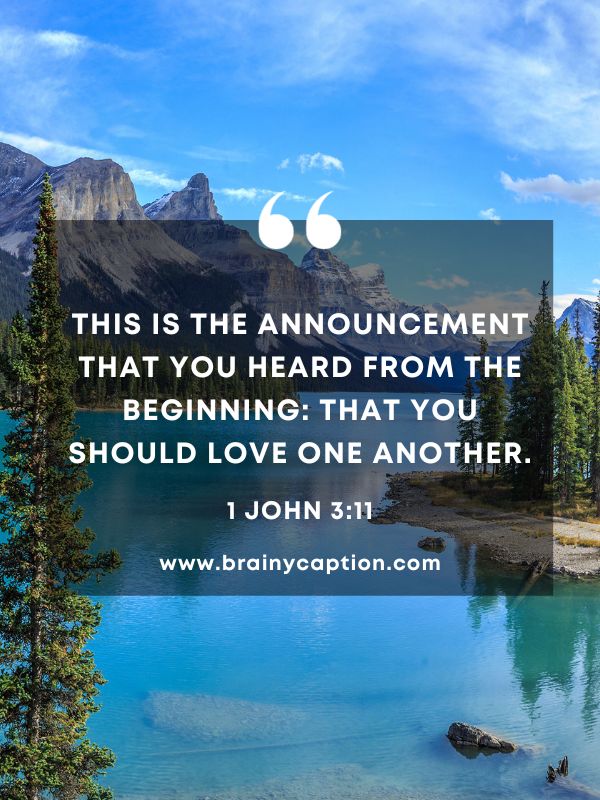 Verse Of The Day 5 January- This is the announcement that you heard from the beginning: that you should love one another.