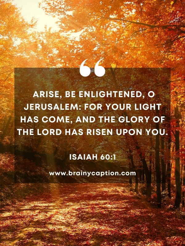 Verse Of The Day 7 January- Arise, be enlightened, O Jerusalem: for your light has come, and the glory of the Lord has risen upon you.