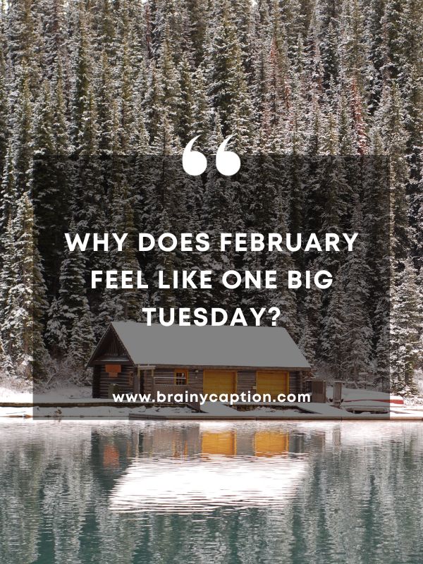 Quote Of The Day February 14- Why does February feel like one big Tuesday?
