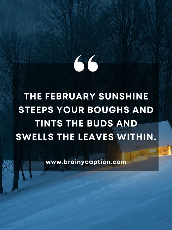 Quote Of The Day February 19- The February sunshine steeps your boughs and tints the buds and swells the leaves within.