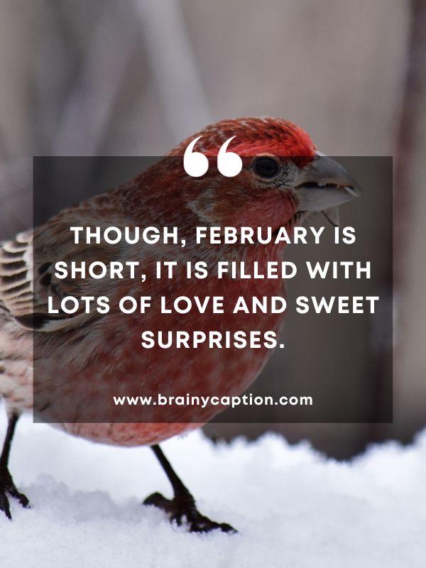Quote Of The Day February 22- Though, February is short, it is filled with lots of love and sweet surprises.