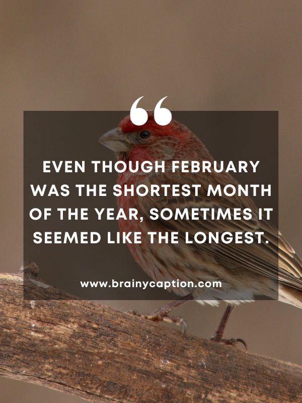 Quote Of The Day February 25- Even though February was the shortest month of the year, sometimes it seemed like the longest.