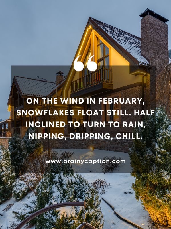 Quote Of The Day February 28- On the wind in February, snowflakes float still. Half inclined to turn to rain, nipping, dripping, chill.