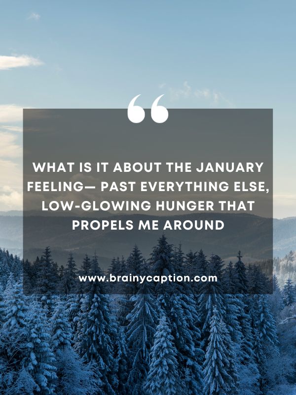 Quote Of The Day January 17- What is it about the January feeling— past everything else, low-glowing hunger that propels me around