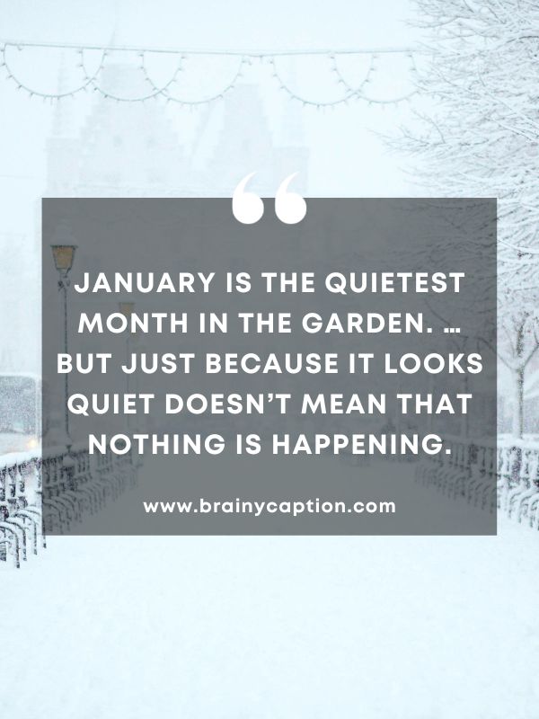 Quote Of The Day January 22- January is the quietest month in the garden. … But just because it looks quiet doesn’t mean that nothing is happening.