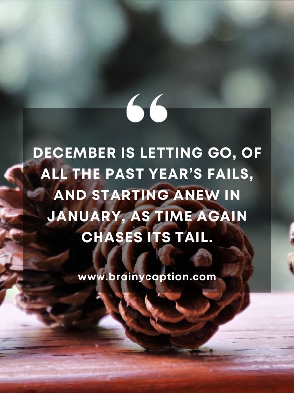 Quote Of The Day January 25- December is letting go, Of all the past year’s fails, And starting anew in January, As time again chases its tail.