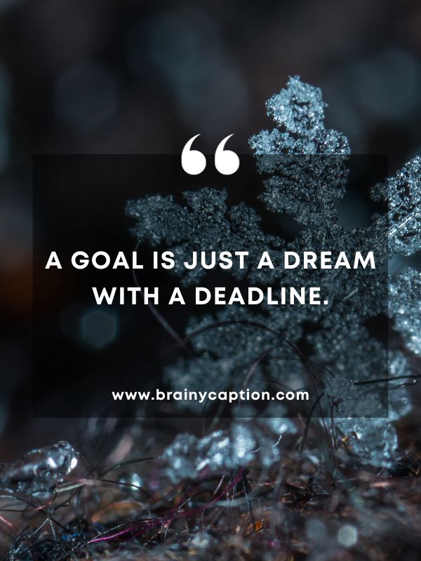 Quote Of The Day January 29- A goal is just a dream with a deadline.