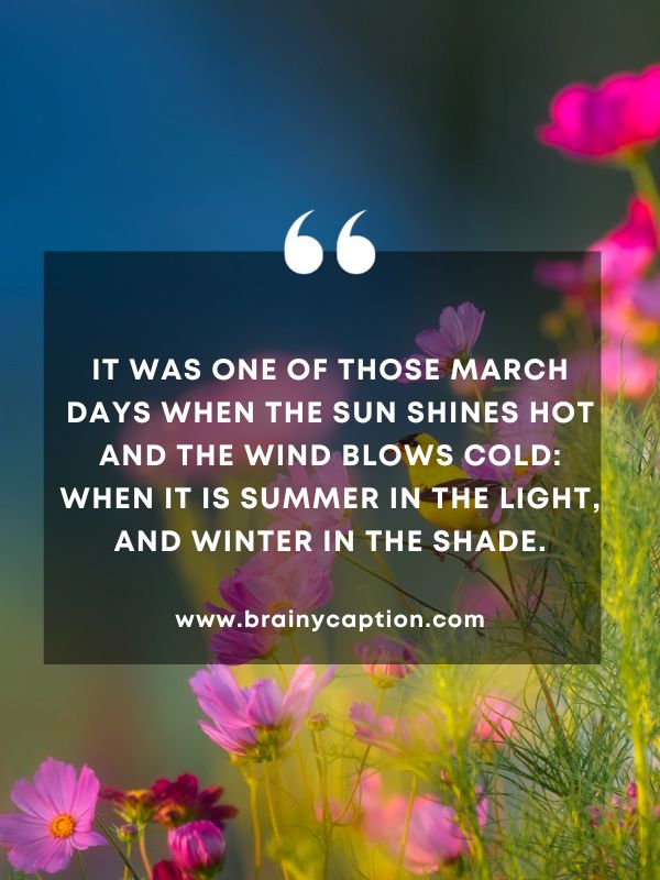 Quote Of The Day March 1- It was one of those March days when the sun shines hot and the wind blows cold: when it is summer in the light, and winter in the shade.