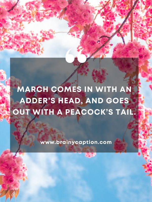 Quote Of The Day March 11- March comes in with an adder’s head, and goes out with a peacock’s tail.