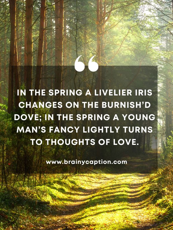 Quote Of The Day March 15- In the Spring a livelier iris changes on the burnish’d dove; In the Spring a young man’s fancy lightly turns to thoughts of love.