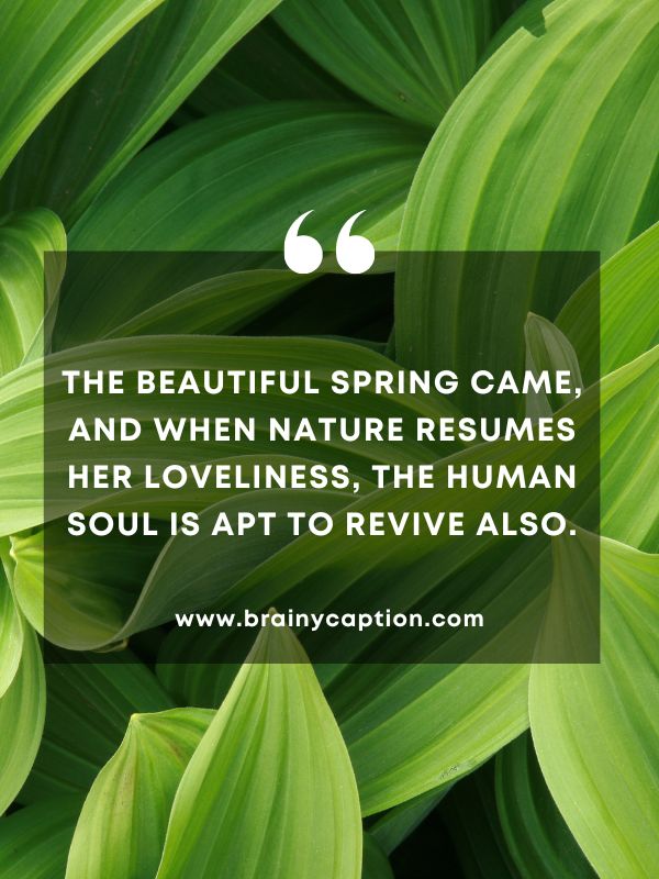 Quote Of The Day March 19- The beautiful spring came, and when nature resumes her loveliness, the human soul is apt to revive also.