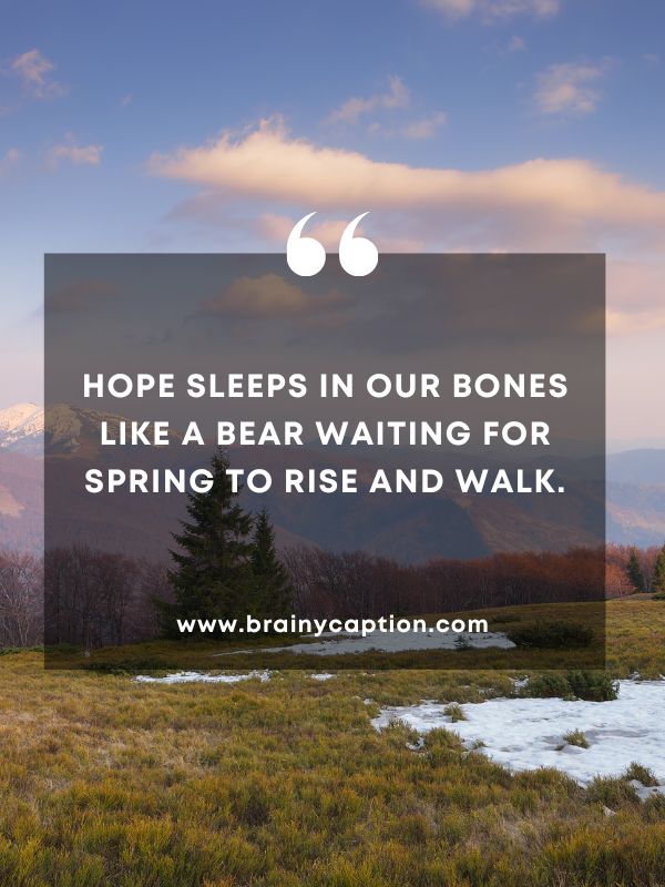 Quote Of The Day March 20- Hope sleeps in our bones like a bear waiting for spring to rise and walk.