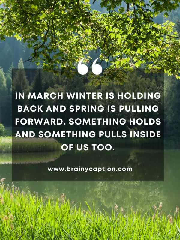 Quote Of The Day March 5- In March winter is holding back and spring is pulling forward. Something holds and something pulls inside of us too.