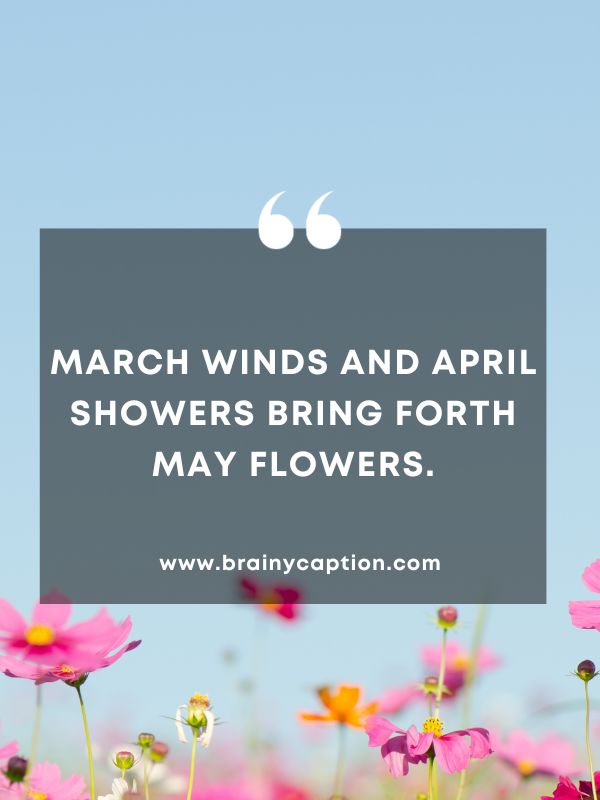 Quote Of The Day March 7- March winds and April showers bring forth May flowers.