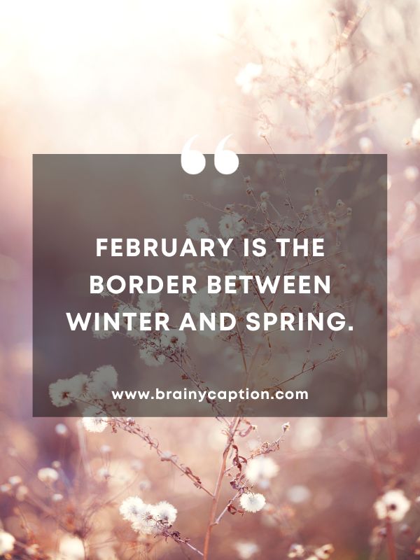 Thought Of The Day February 1- February is the border between winter and spring.