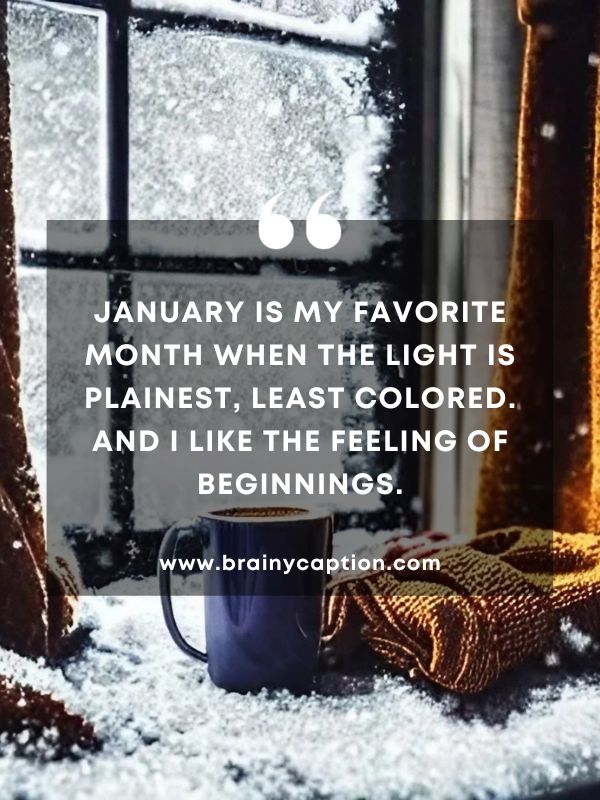Thought Of The Day January 17- January is my favorite month when the light is plainest, least colored. And I like the feeling of beginnings.