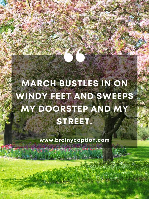 Thought Of The Day March 1- March bustles in on windy feet and sweeps my doorstep and my street.
