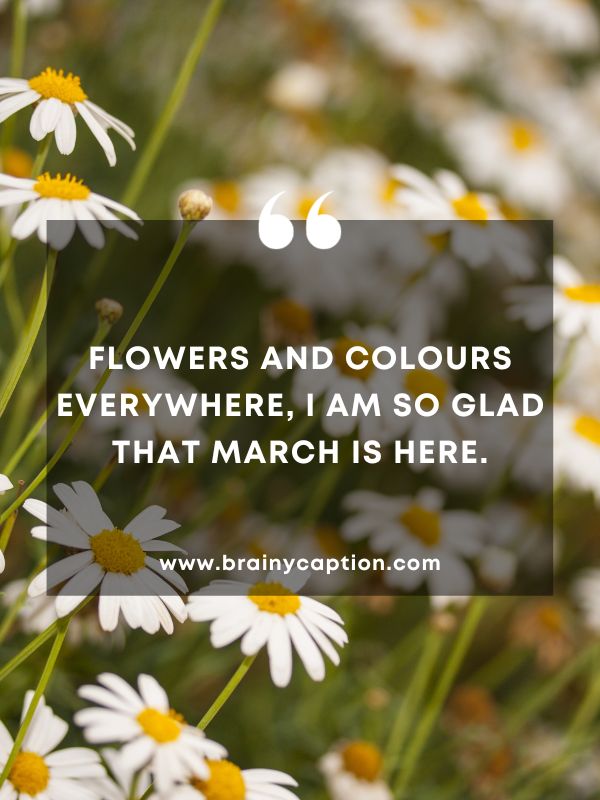 Thought Of The Day March 10- Flowers and colours everywhere, I am so glad that March is here.