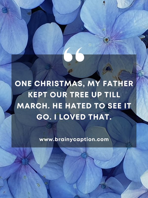 Thought Of The Day March 12- One Christmas, my father kept our tree up till March. He hated to see it go. I loved that.