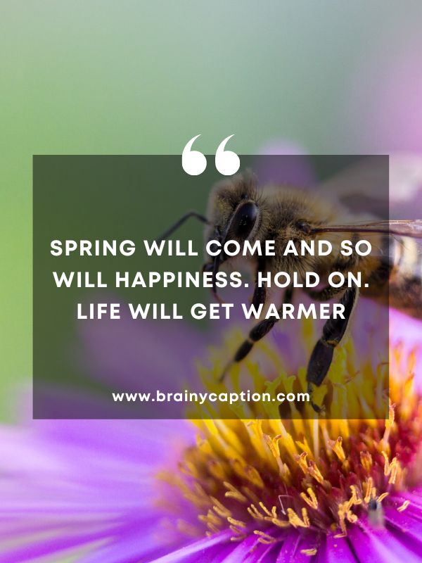 Thought Of The Day March 16- Spring will come and so will happiness. Hold on. Life will get warmer.