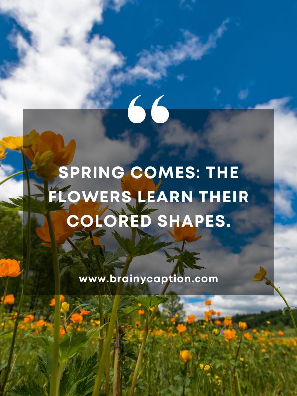 Thought Of The Day March 20- Spring comes: the flowers learn their colored shapes.