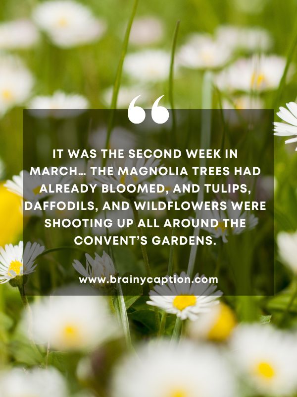 Thought Of The Day March 23- It was the second week in March… The magnolia trees had already bloomed, and tulips, daffodils, and wildflowers were shooting up all around the convent’s gardens.