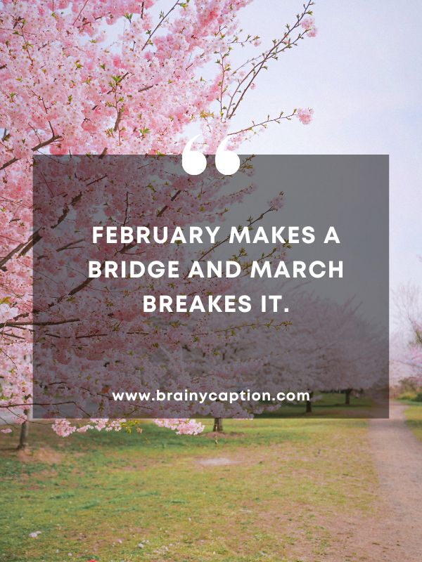Thought Of The Day March 24- February makes a bridge and March breakes it.