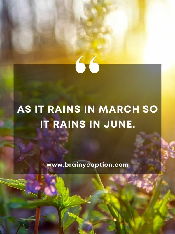Thought Of The Day March 26- As it rains in March so it rains in June.