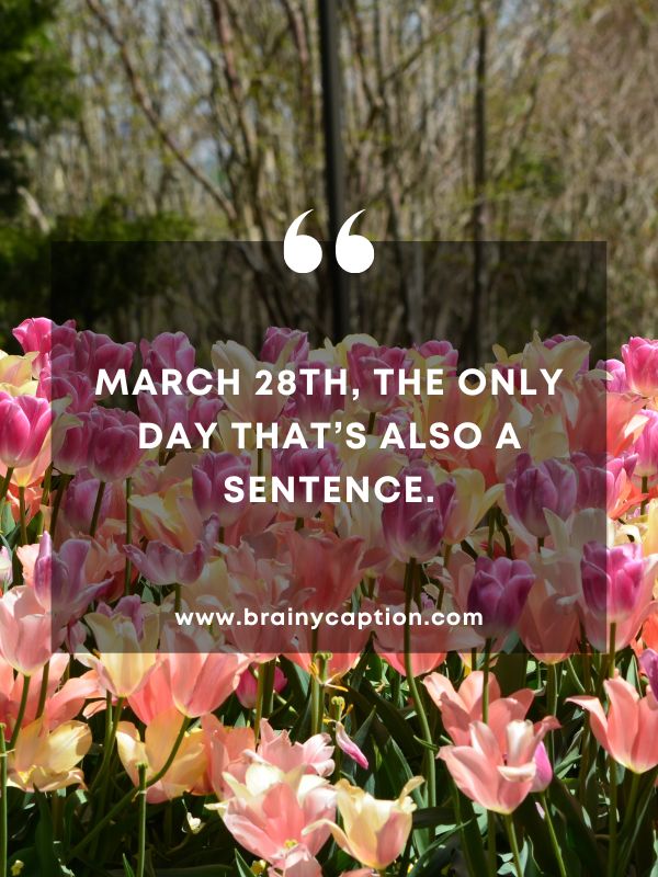 Thought Of The Day March 28- March 28th, the only day that’s also a sentence.