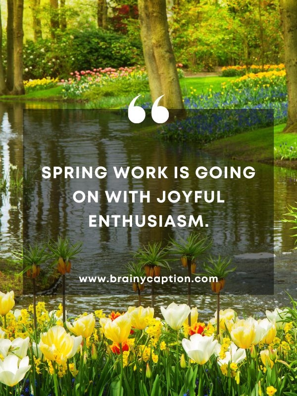 Thought Of The Day March 29- Spring work is going on with joyful enthusiasm.