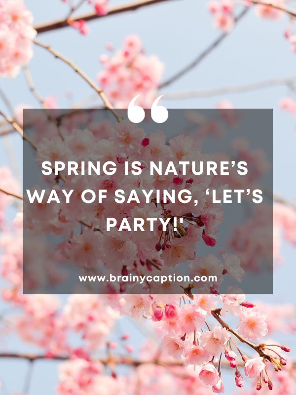 Thought Of The Day March 3- Spring is nature’s way of saying, ‘Let’s party!'