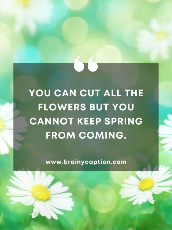 Thought Of The Day March 31- You can cut all the flowers but you cannot keep Spring from coming.