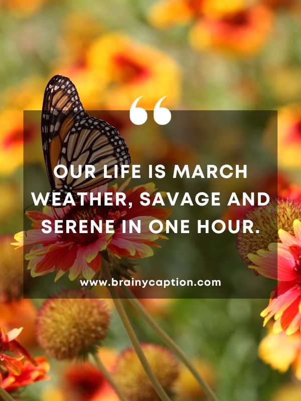 Thought Of The Day March 4- Our life is March weather, savage and serene in one hour.