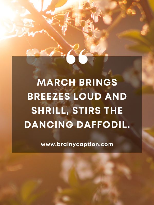 Thought Of The Day March 5- March brings breezes loud and shrill, stirs the dancing daffodil.
