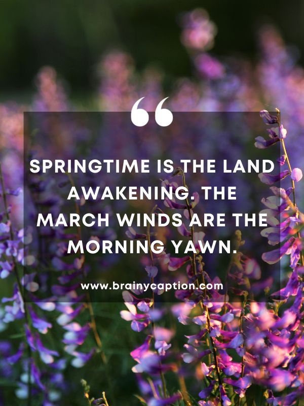 Thought Of The Day March 8- Springtime is the land awakening. The March winds are the morning yawn.