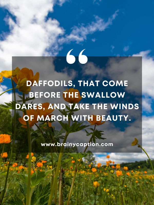 Thought Of The Day March 9- Daffodils, That come before the swallow dares, and take The winds of March with beauty.