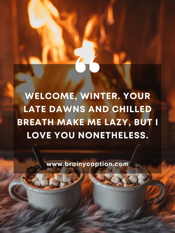 Thought Of The Day January 14- Welcome, winter. Your late dawns and chilled breath make me lazy, but I love you nonetheless.