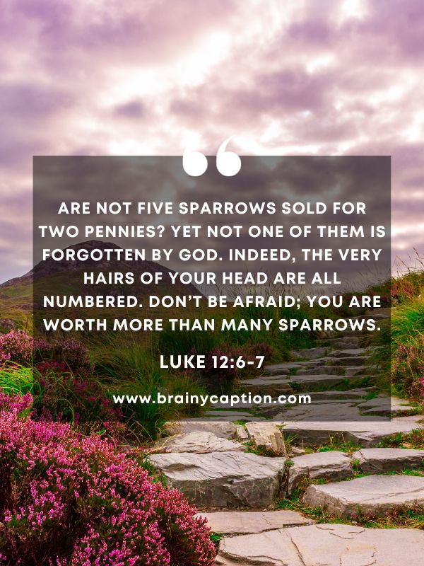 Verses Of The Day 17 January- Are not five sparrows sold for two pennies? Yet not one of them is forgotten by God. Indeed, the very hairs of your head are all numbered. Don’t be afraid; you are worth more than many sparrows.