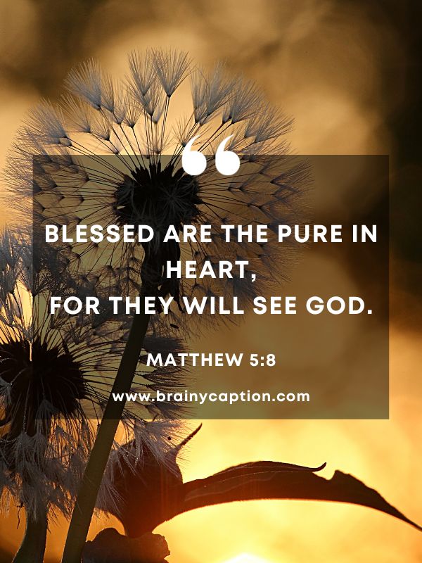 Verses Of The Day 18 January- Blessed are the pure in heart, for they will see God.