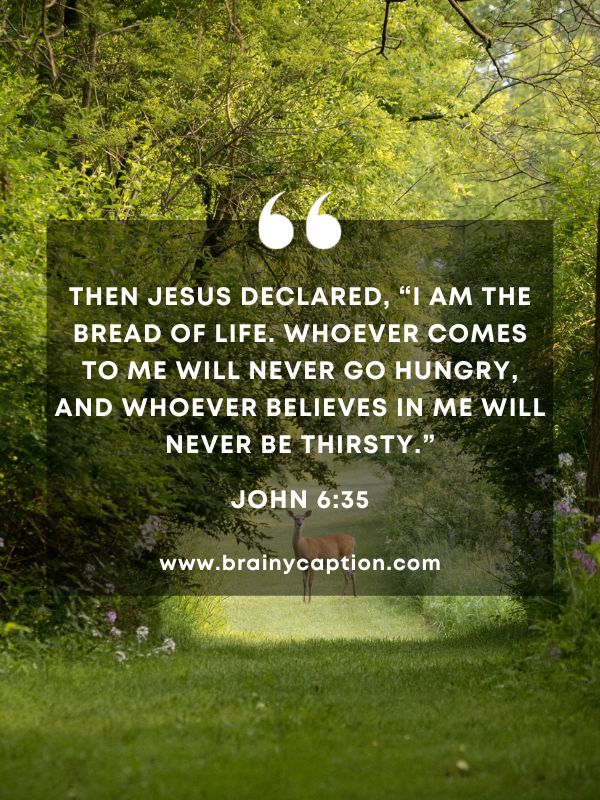 Verses Of The Day 26 January- Then Jesus declared, “I am the bread of life. Whoever comes to me will never go hungry, and whoever believes in me will never be thirsty.”