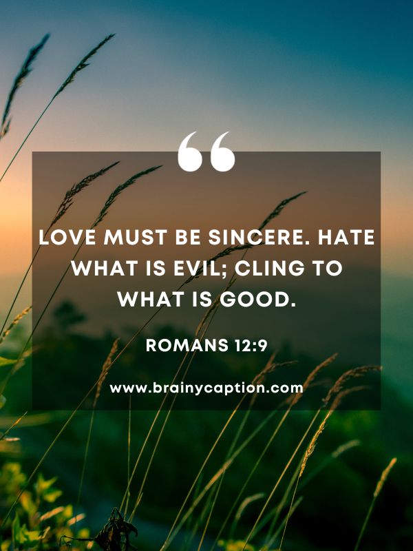 Verses Of The Day 28 January- Love must be sincere. Hate what is evil; cling to what is good.