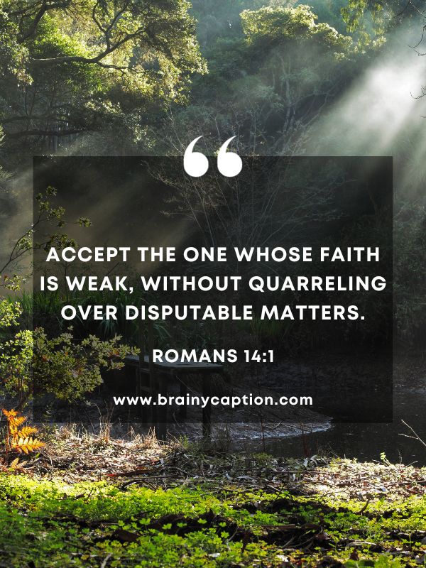 Verses Of The Day 29 January- Accept the one whose faith is weak, without quarreling over disputable matters.