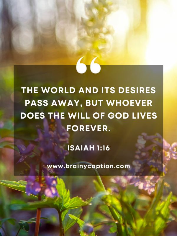 Verses Of The Day 31 January- The world and its desires pass away, but whoever does the will of God lives forever.